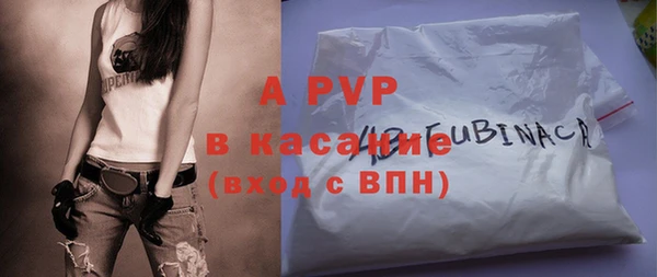 прущие грибы Бабаево