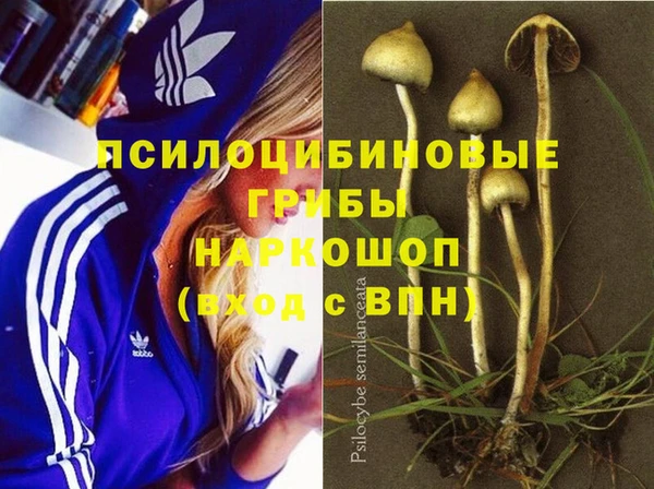 МДПВ Медвежьегорск