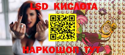 шишки Абакан