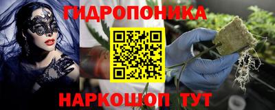 шишки Абакан