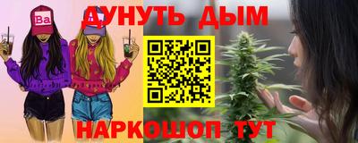 шишки Абакан