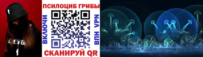 Псилоцибиновые грибы Psilocybine cubensis  магазин    Альметьевск 