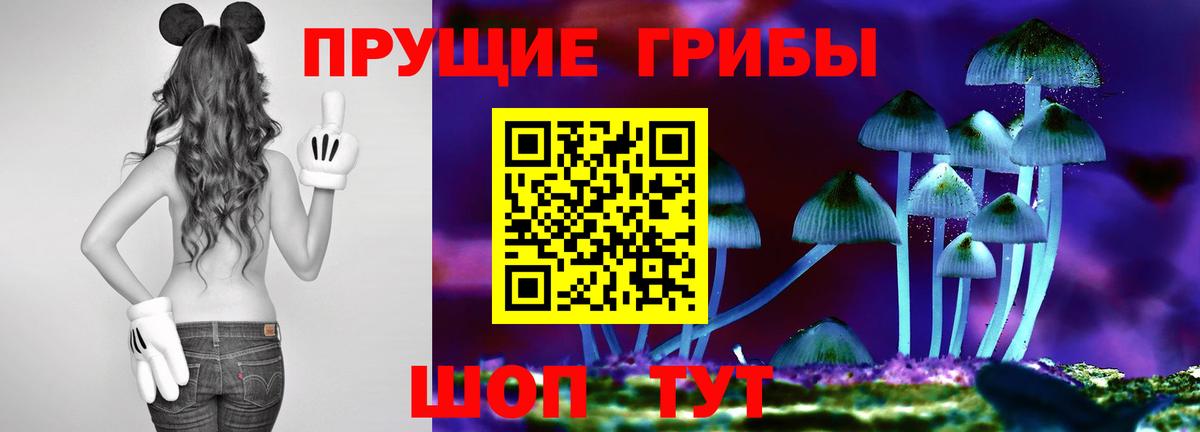 Альметьевск  Галлюциногенные грибы мицелий  Вход с VPN 